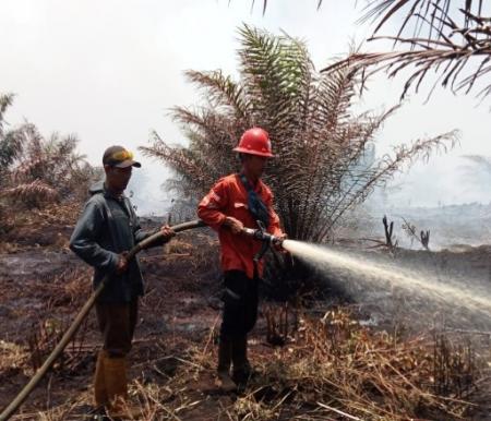 Ilustrasi petugas memadamkan kebakaran lahan di Provinsi Riau (foto/int)